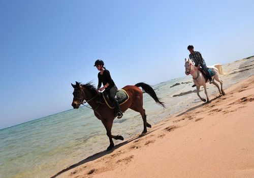 Jodinėjimas žirgais ir žygiai kupranugariais 